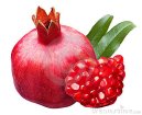 pomegranate-17282257